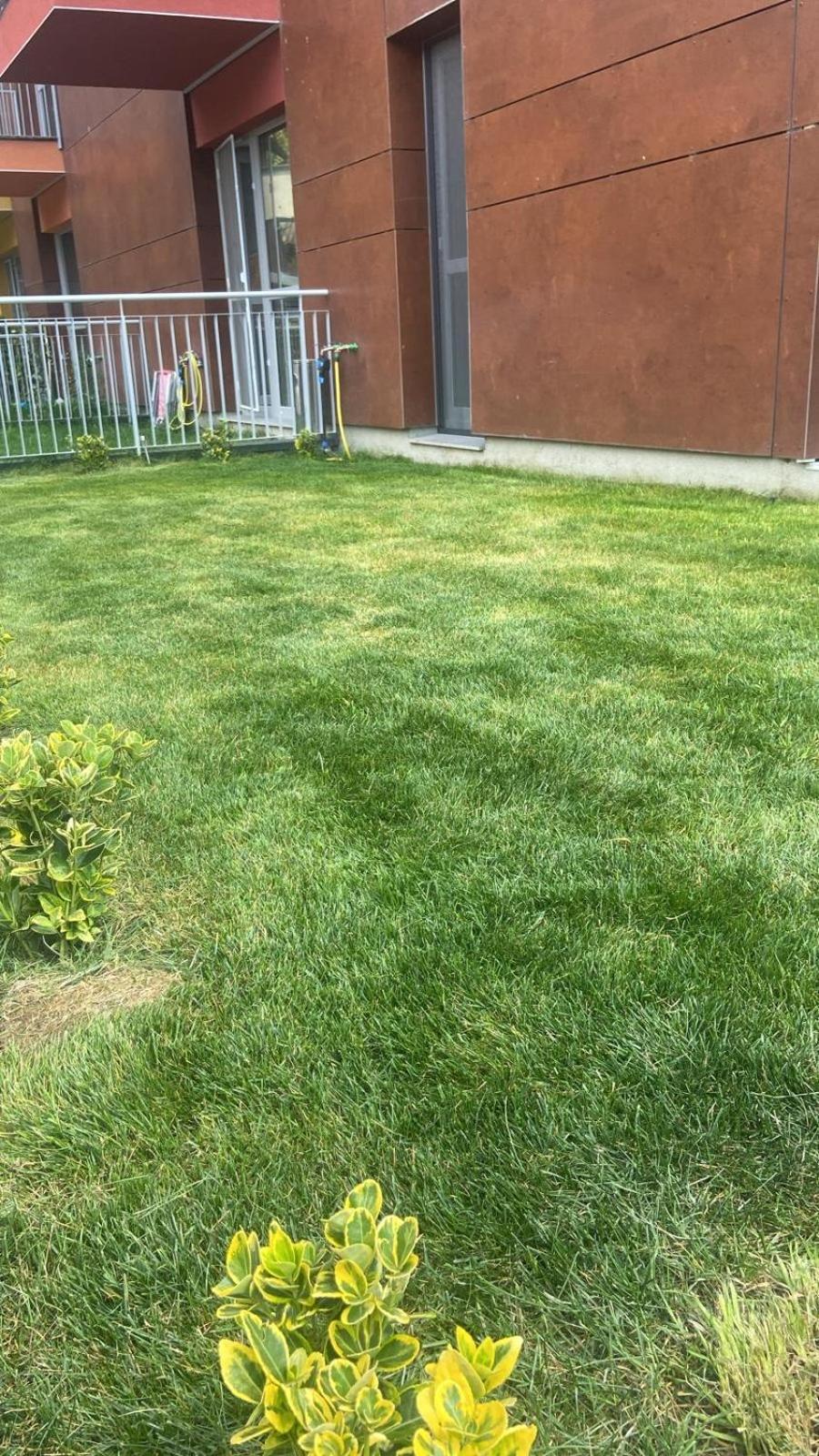 Dream Garden Apartment With Free Parking Sinaia Exteriör bild