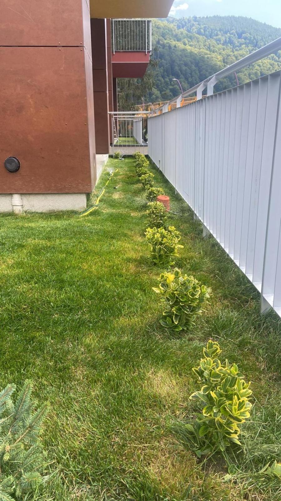 Dream Garden Apartment With Free Parking Sinaia Exteriör bild